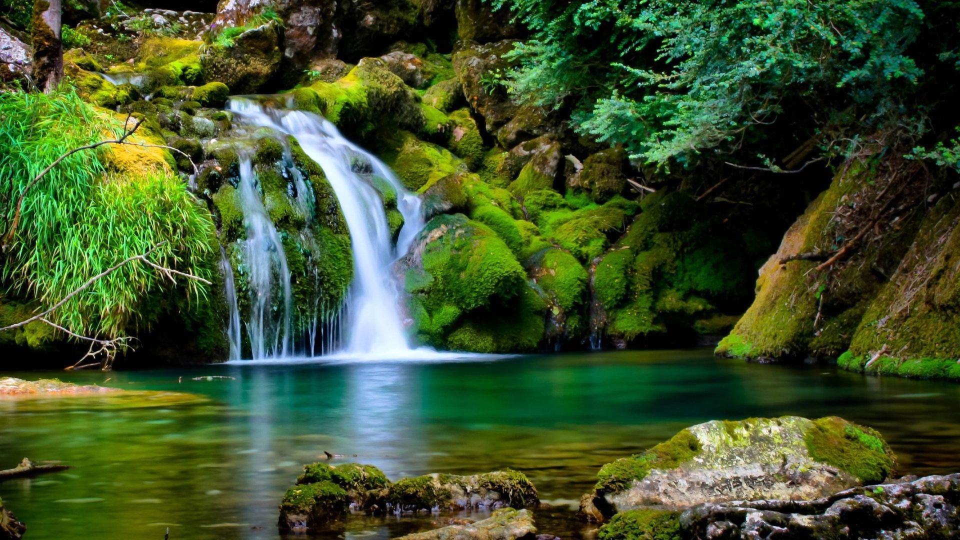 desktop backgrounds nature
