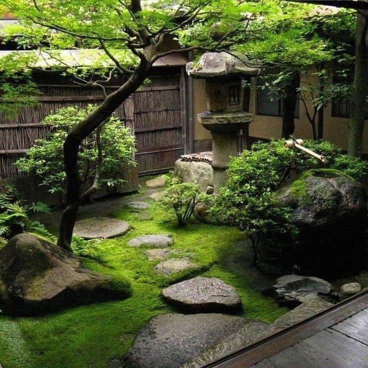 900 Ideas De Garden Desing En 2021 Jardines Plantas Jardin Jardinería