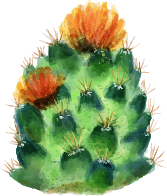 盆景小清新植物水彩盆栽仙人掌素材多肉植物仙人球bonsai Small Fresh Plant Watercolor Potted Cactus Material Succulent Prickly Painting Art Png Images 盆景小清新植物水彩盆栽仙人掌素材多肉植物仙人球bonsai Small Fresh Plant Watercolor Potted Cactus Material Succulent Prickly Painting Art Png Images