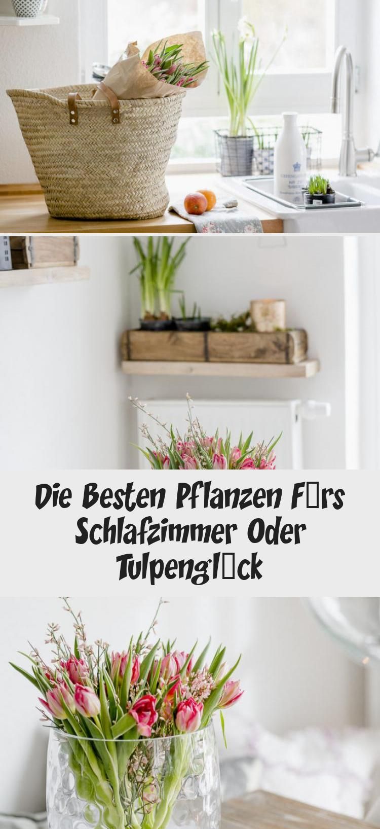 Pflanzen Fürs Schlafzimmer Die Besten Pflanzen Fürs Schlafzimmer Oder Tulpenglück | Schlafzimmer