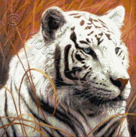 Kit Tiger Portrait Up Close Exclusive Cross Stitch Chart