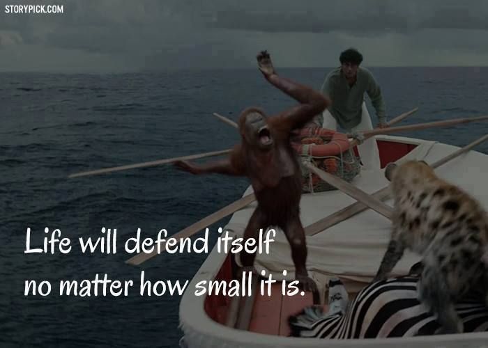Quotes from The Movie Life Of PI | Life of pi quotes, Pi quote, Life of pi
