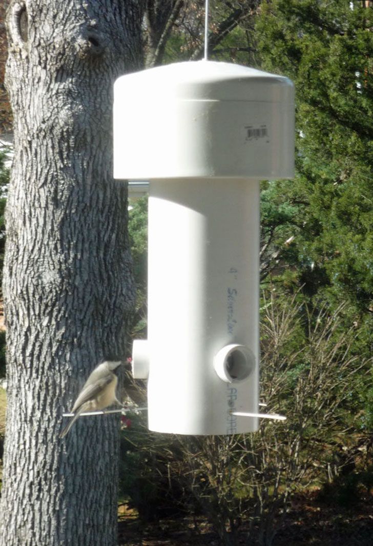 diy pvc bird feeder plans