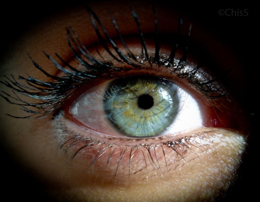 Eye Ojo Pretty Eyes Photos Of Eyes Cool Eyes Eye Ojo Pretty Eyes Photos Of Eyes Cool Eyes
