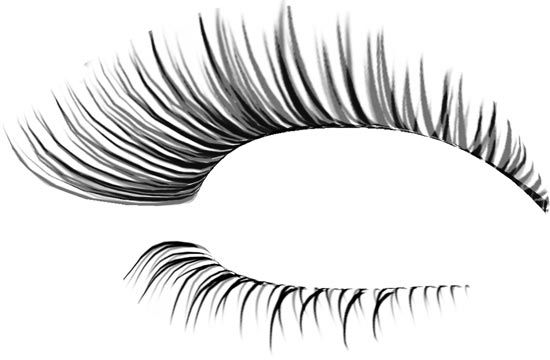 20+ Eyelashes Clipart Transparent Background