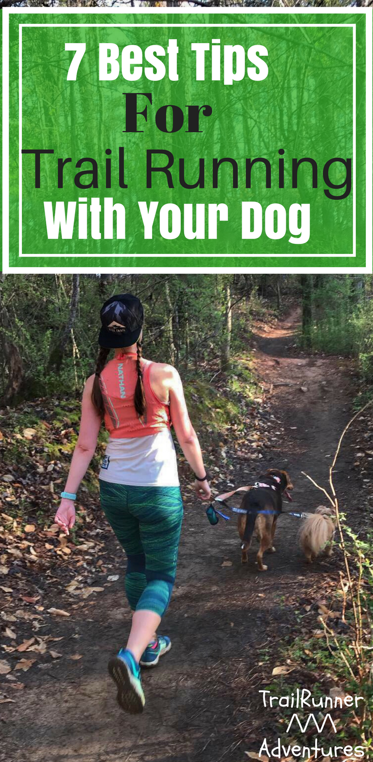 Watch 7 Tips for Running with Your Dog video Watch 7 Tips for Running with Your Dog video