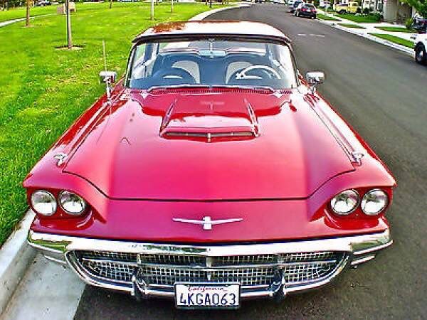 old t bird old t bird