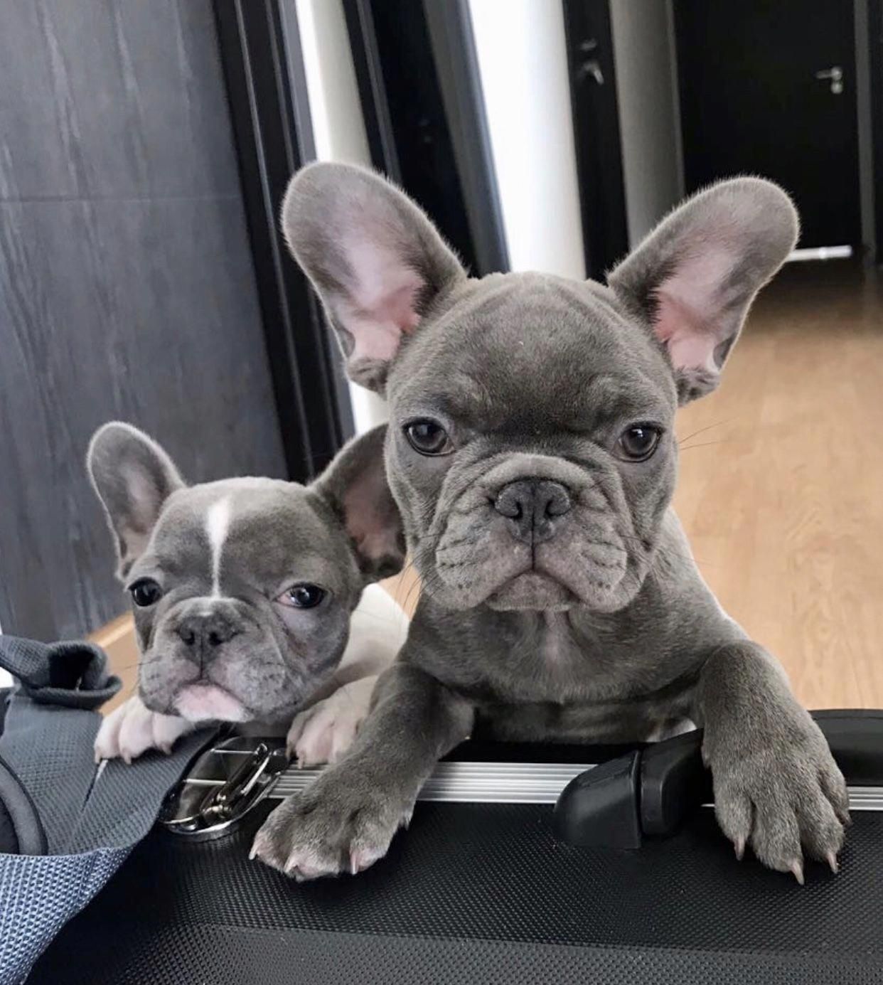 These Two Cuties Enjoying Their New Family Www