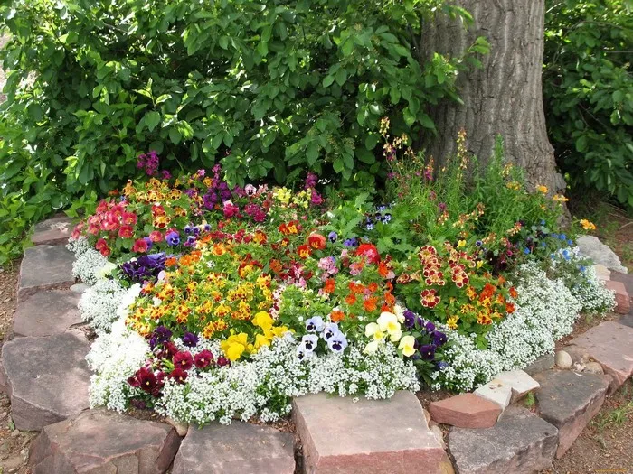 40 Amazing landscaping and DIY garden decorations with natural stones | My desired home Landscaping Tips, Garden Landscaping, Rock Garden, Herb Garden, Evergreen Herbs, Outdoor Stone, Diy Garden Decor, Garden Ideas, Garden Decorations