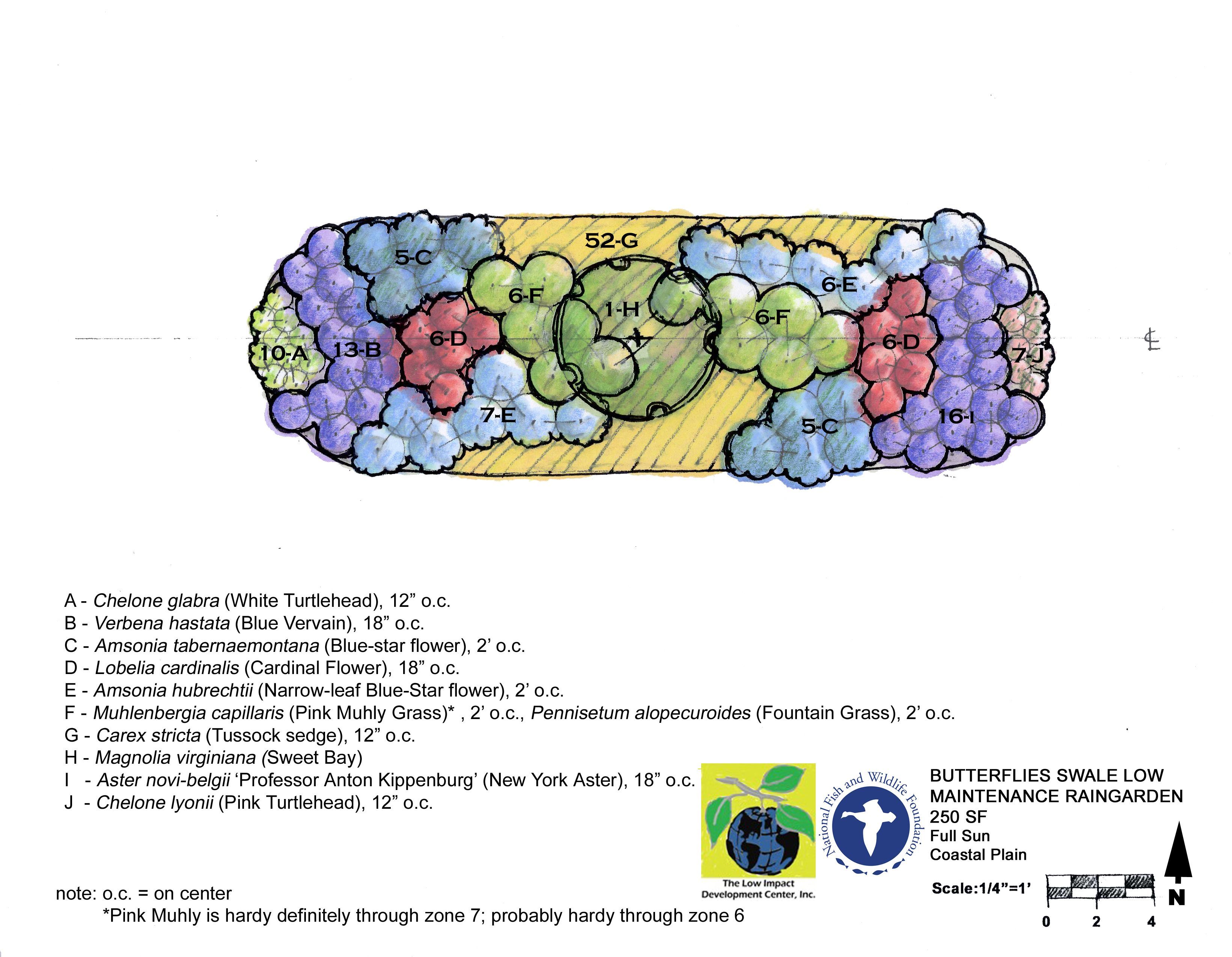 Rain Gardens Grading Plan Google Search Hand Renderings Rain