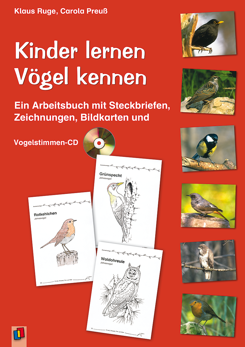 Karten kennenlernen