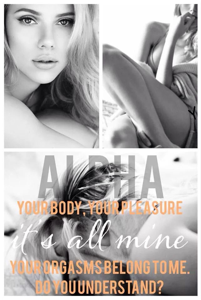 jasinda wilder alpha one security series jasinda wilder alpha one security series
