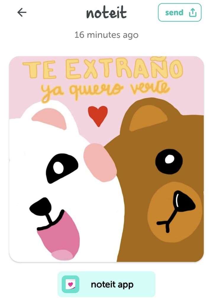 Bears bears