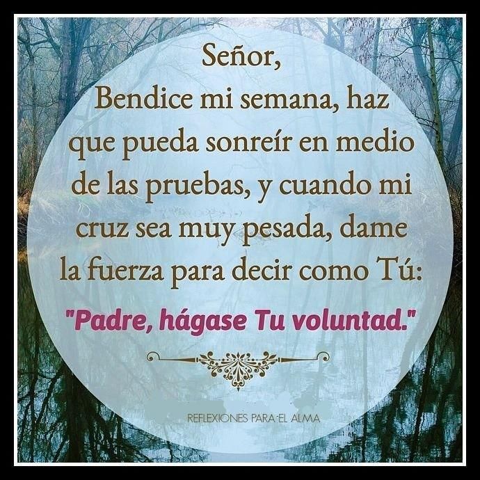 Señor Bendice Mi Semana Oraciones Oraciones Para El Alma Dios