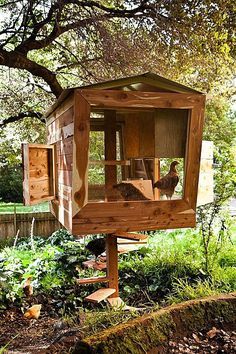 Chicken Coop Ideas On Pinterest Chicken Coops Coops And Chicken