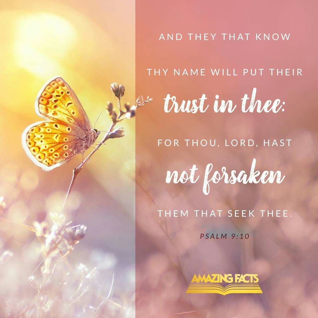 Psalm 9 10 KJV Scripture Pictures Psalms Book Of Psalms psalm-9-10-kjv-scripture-pictures-psalms-book-of-psalms
