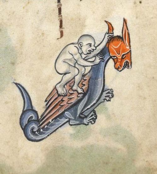 medieval manuscripts illustrations dragon medieval manuscripts illustrations dragon