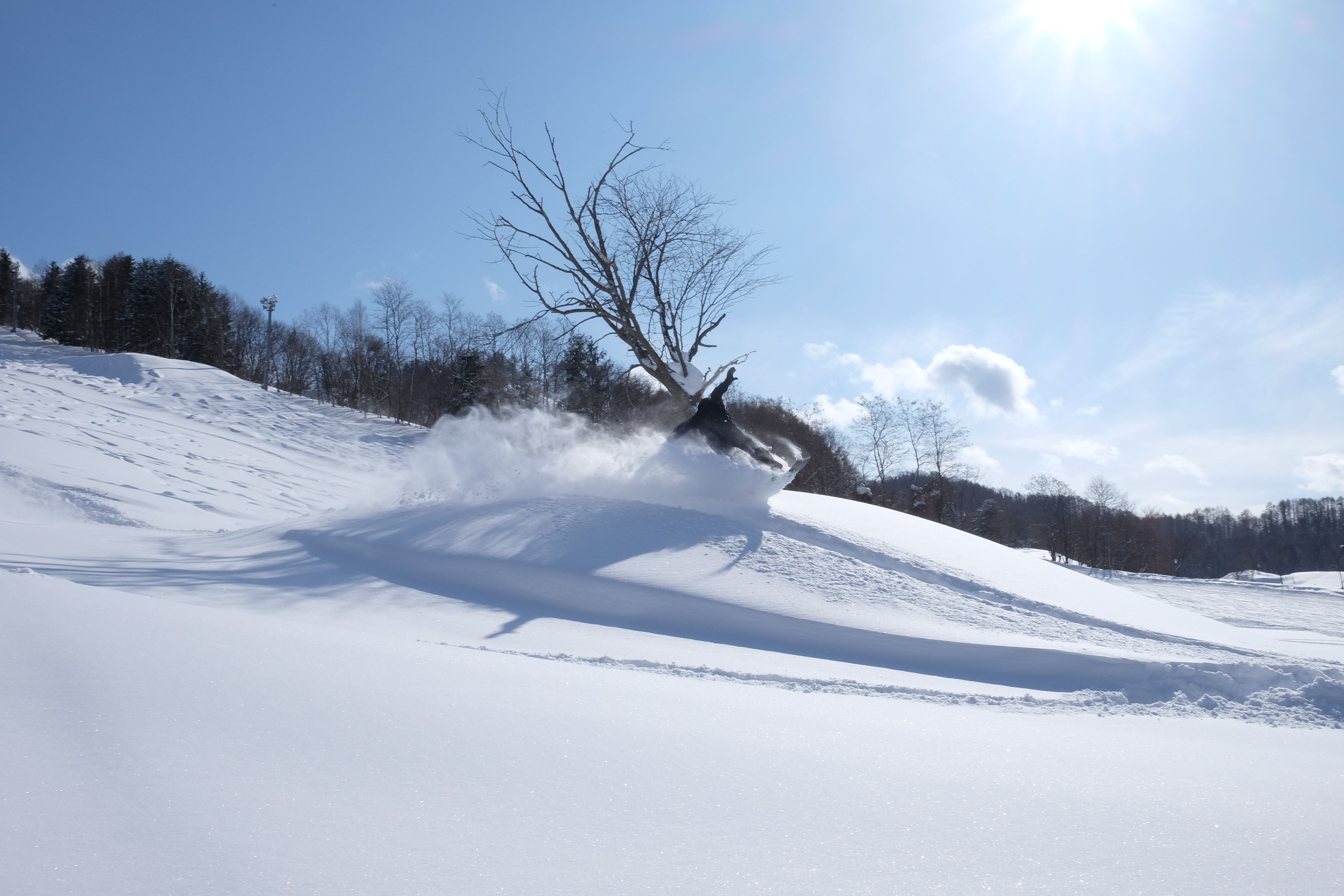 ボード Mojane Snowboards のピン ボード Mojane Snowboards のピン