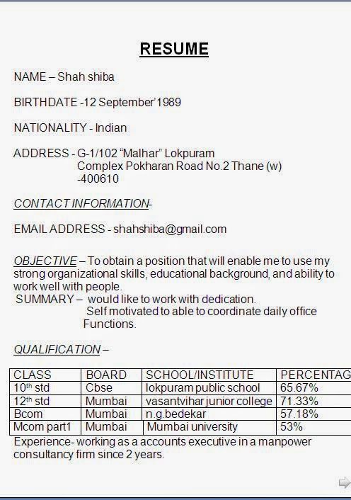 work experience summary for freshers