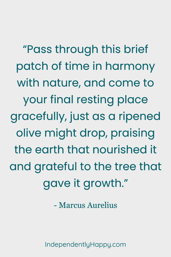 “Pass through this brief patch of time in harmony with nature, and come to your final resting place gracefully…praising the earth that nourished it and grateful to the tree that gave it - Marcus Aurelius 3 Amazing Ways Gratitude Boosts Your Power Happiness Quotes, Happy Quotes, Funeral Verses, Pray Continually, Rejoice Always, How To Improve Relationship, Grateful For You, Upcoming Books, Marcus Aurelius