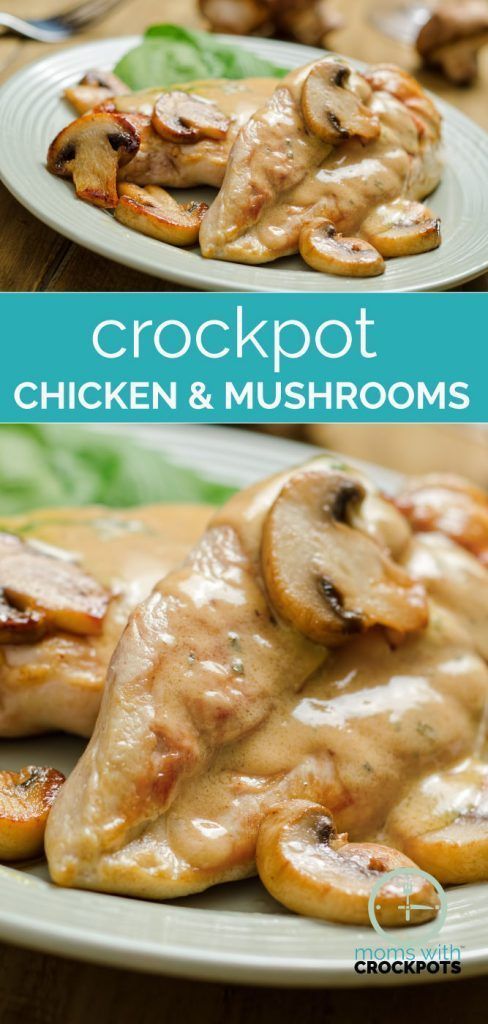 ninja chicken and mushrooms recipe ninja chicken and mushrooms recipe