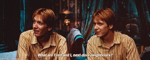 Résultat de recherche d'images pour "jumeaux weasley"