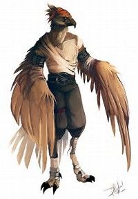 Image Result For Triton Dnd 5e Female Character Art Concept Art