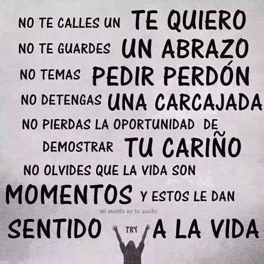 El sentido de la vida. … | Frases bonitas, Frases sabias, Citas de  inspiración español