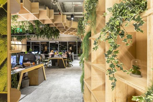 Gallery of IT’S Biofilia Office / IT'S Informov - 8