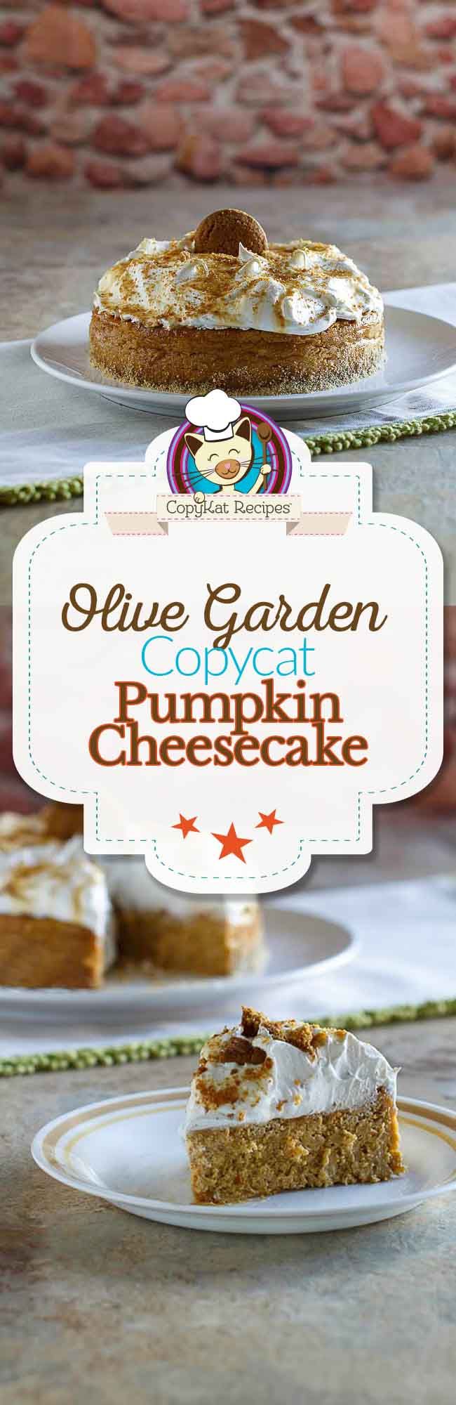 olive garden pumpkin cheesecake recipe olive gardens pumpkin cheesecake and copycat recipes - Olive Garden Pumpkin Cheesecake olive garden pumpkin cheesecake recipe olive gardens pumpkin cheesecake and copycat recipes - Olive Garden Pumpkin Cheesecake