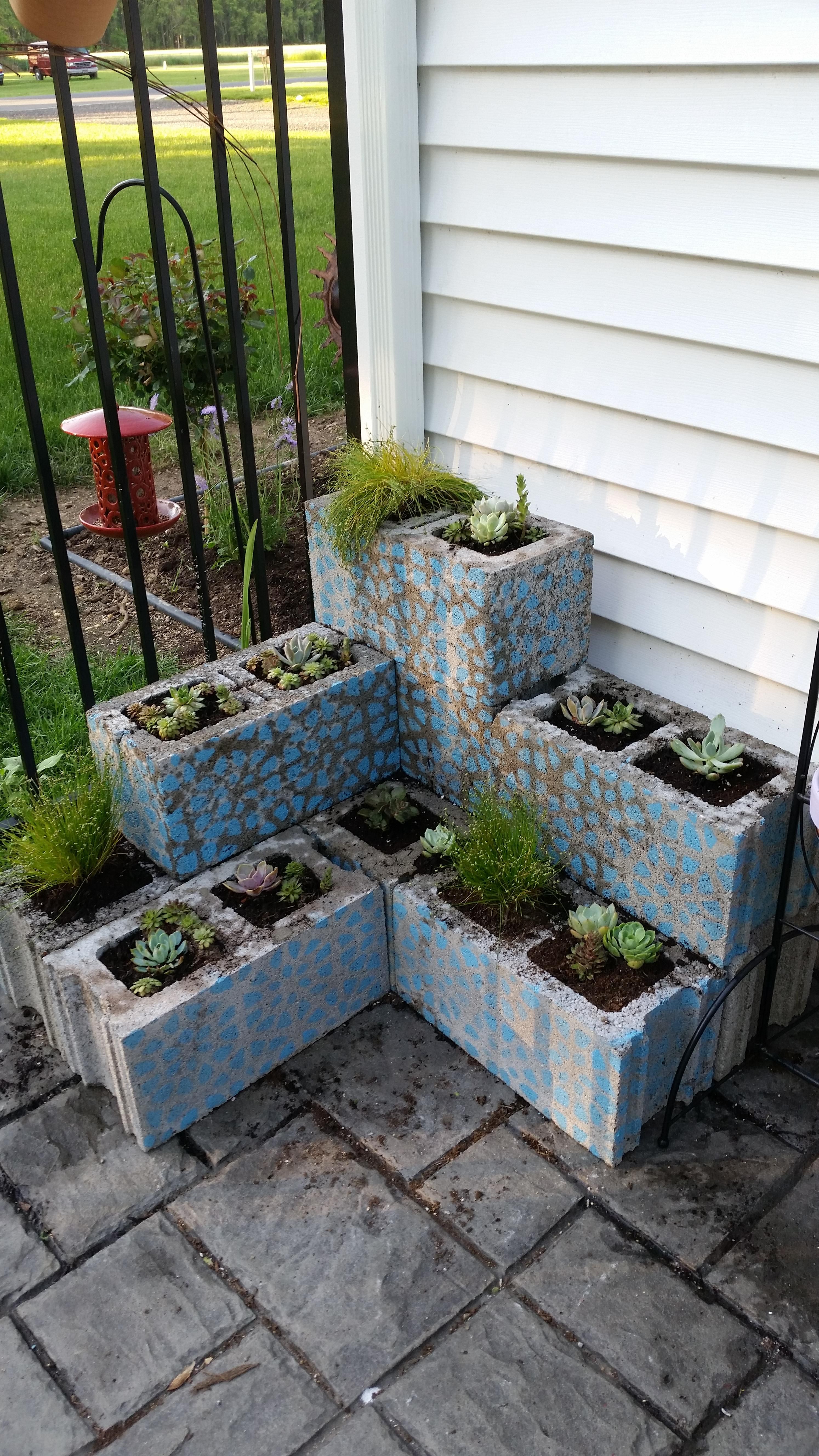 Cement block succulent planter Cinder block garden, Backyard