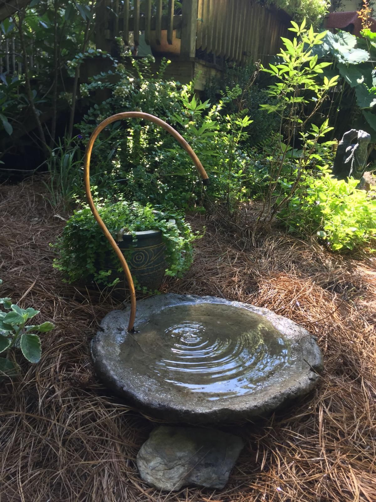 320 bird baths ideas bird bath diy bird bath bird shallow bowl water feature on 320 bird baths ideas bird bath diy bird bath bird pinterest