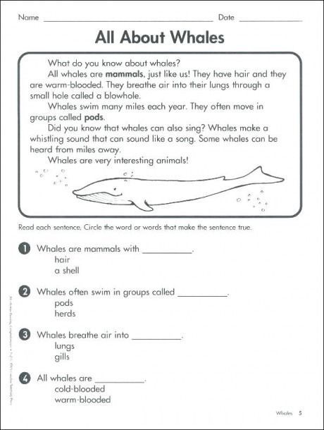 year 5 n worksheets reading for grade 7 science quotes