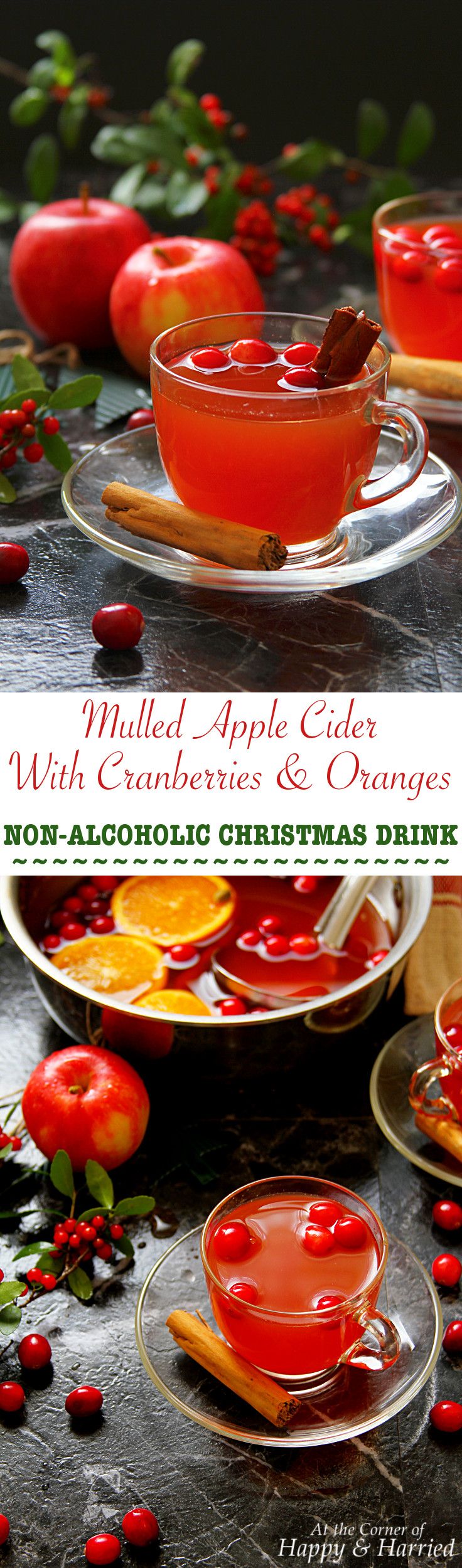 Mulled Apple Cider With Cranberries & Oranges