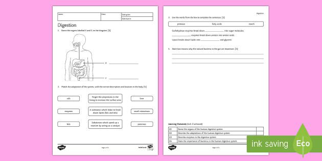 Help on science homework ks3