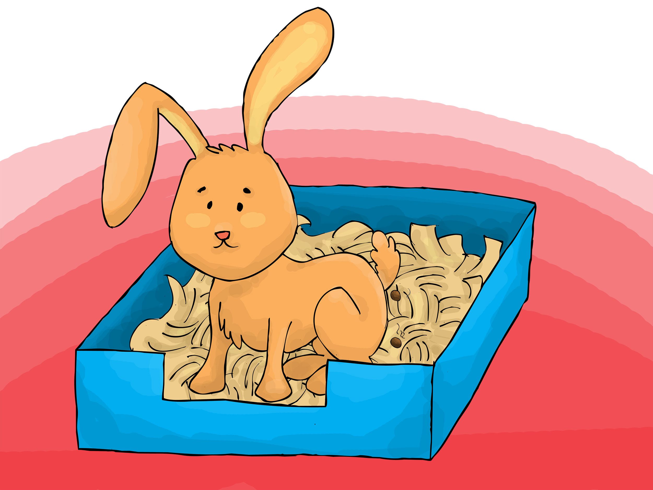 Communication on this topic: WikiHow:The Bunny Project, wikihow-the-bunny-project/ Forum on this topic: WikiHow:The Bunny Project, wikihow-the-bunny-project/