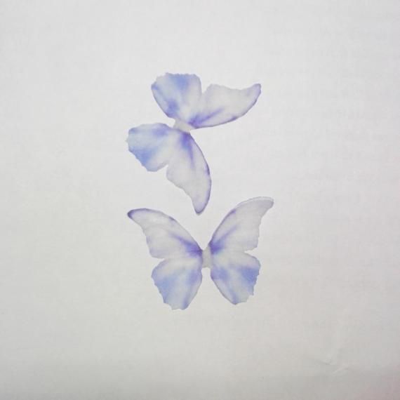 Organza Fabric Butterfly Wings Butterflies Craft Jewelry Hat Making Earrings Findings Sewing Project-3CM/&4CM5CM-30 Pieces Mixed In Lot!