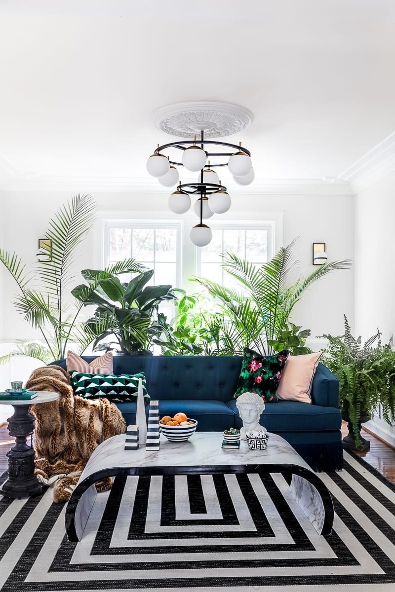 Wilde Nummer auf Zebrasofa Wilde Nummer auf Zebrasofa