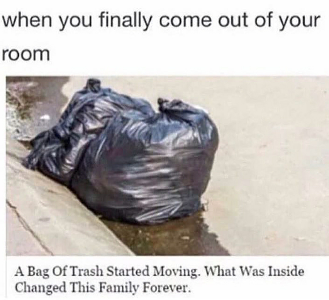 Pin By Jojo On Humour Funny Relatable Memes Funny Memes Funny Memes