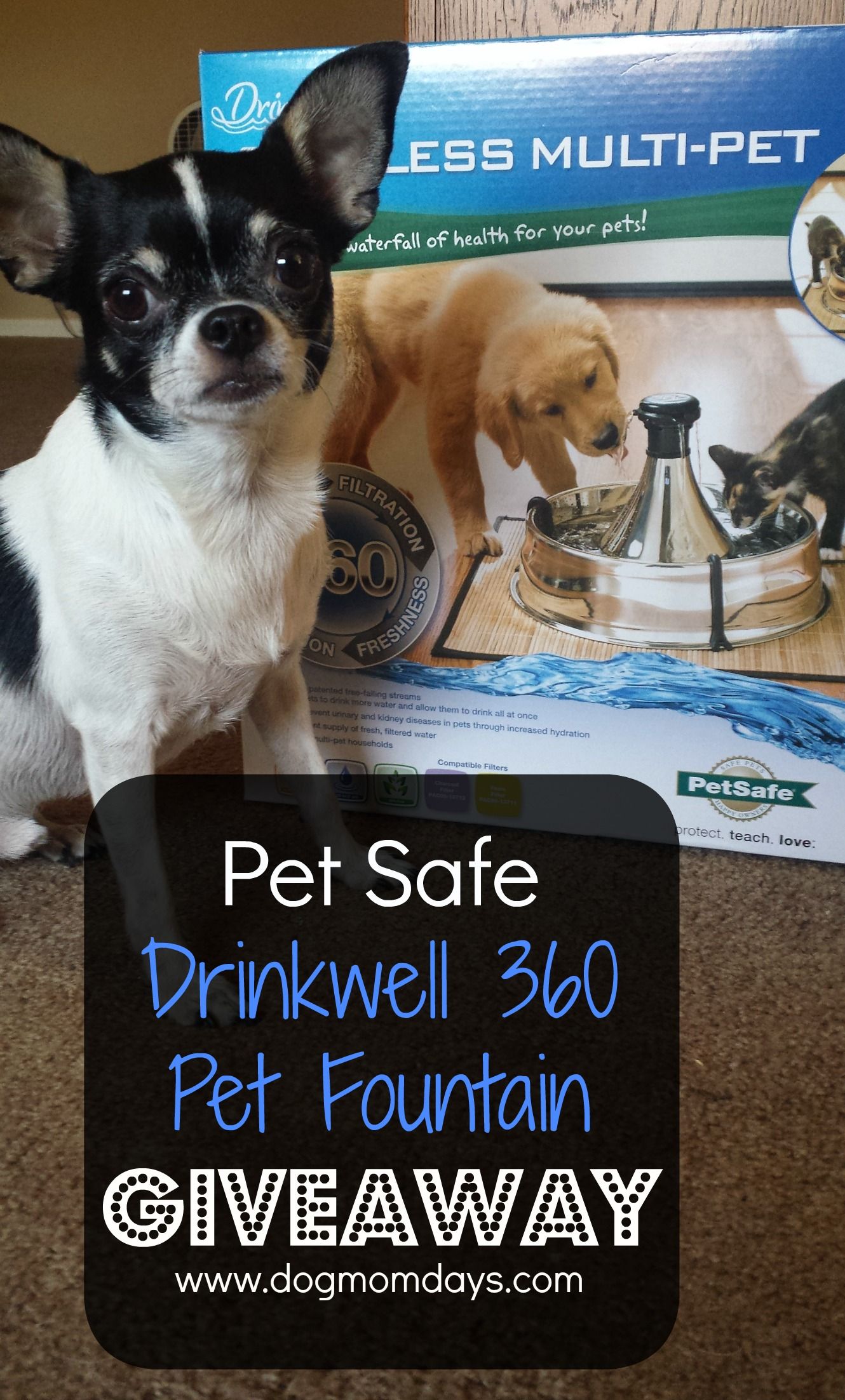 drinkwell 360 pet fountain 360 stainless hydration is so important for pets in summer enter dogmomdays giveaway petsafe drinkwell 360 pet fountain giveaway is your drinking enough water this summer month drinkwell 360 pet fountain 360 stainless hydration is so important for pets in summer enter dogmomdays giveaway petsafe drinkwell 360 pet fountain giveaway is your drinking enough water this summer month