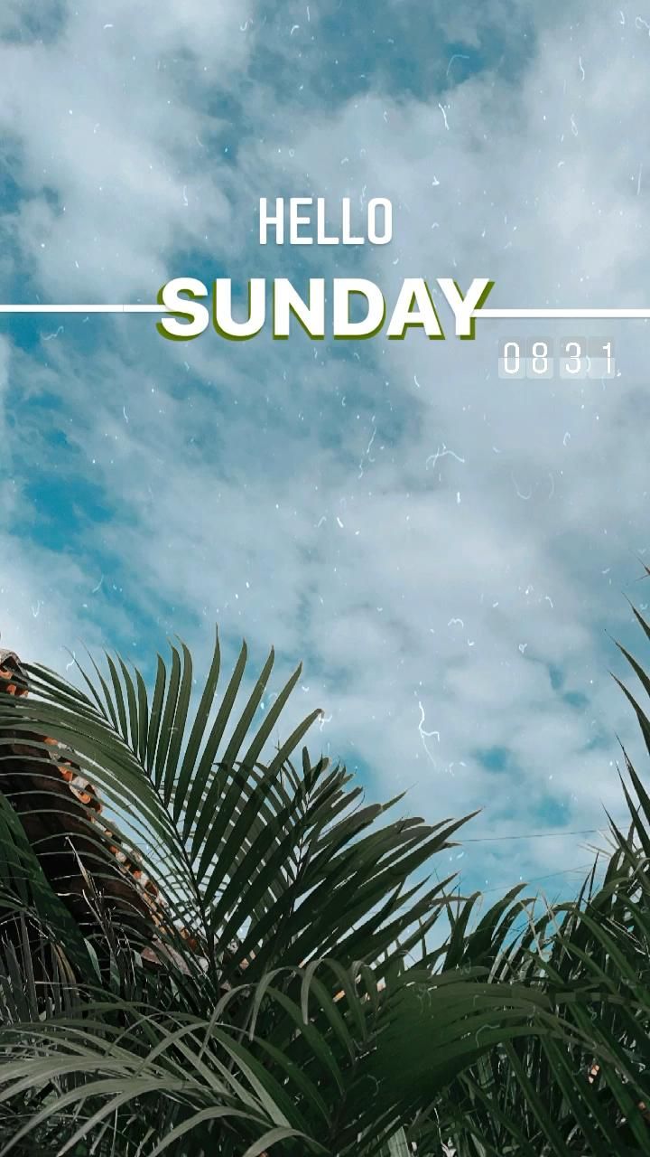 Me siga no instagram @_debora_vaz #storiescriativos #storiesideias #instagram #instastories #creativestories