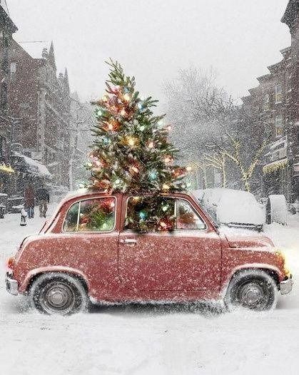 . Christmas Time Is Here, Merry Little Christmas, Christmas Love, Christmas Magic, Winter Christmas, Christmas Seasons, Christmas Crafts, Christmas Decorations, Christmas Trees
