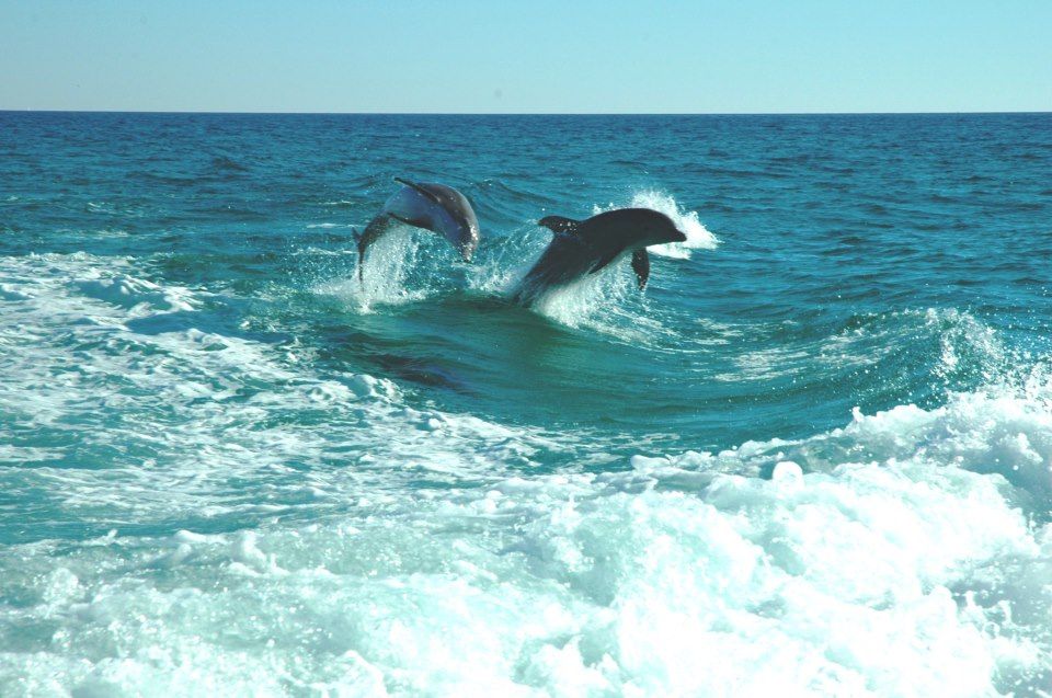 Sisters Of The Sea Panama City Beach