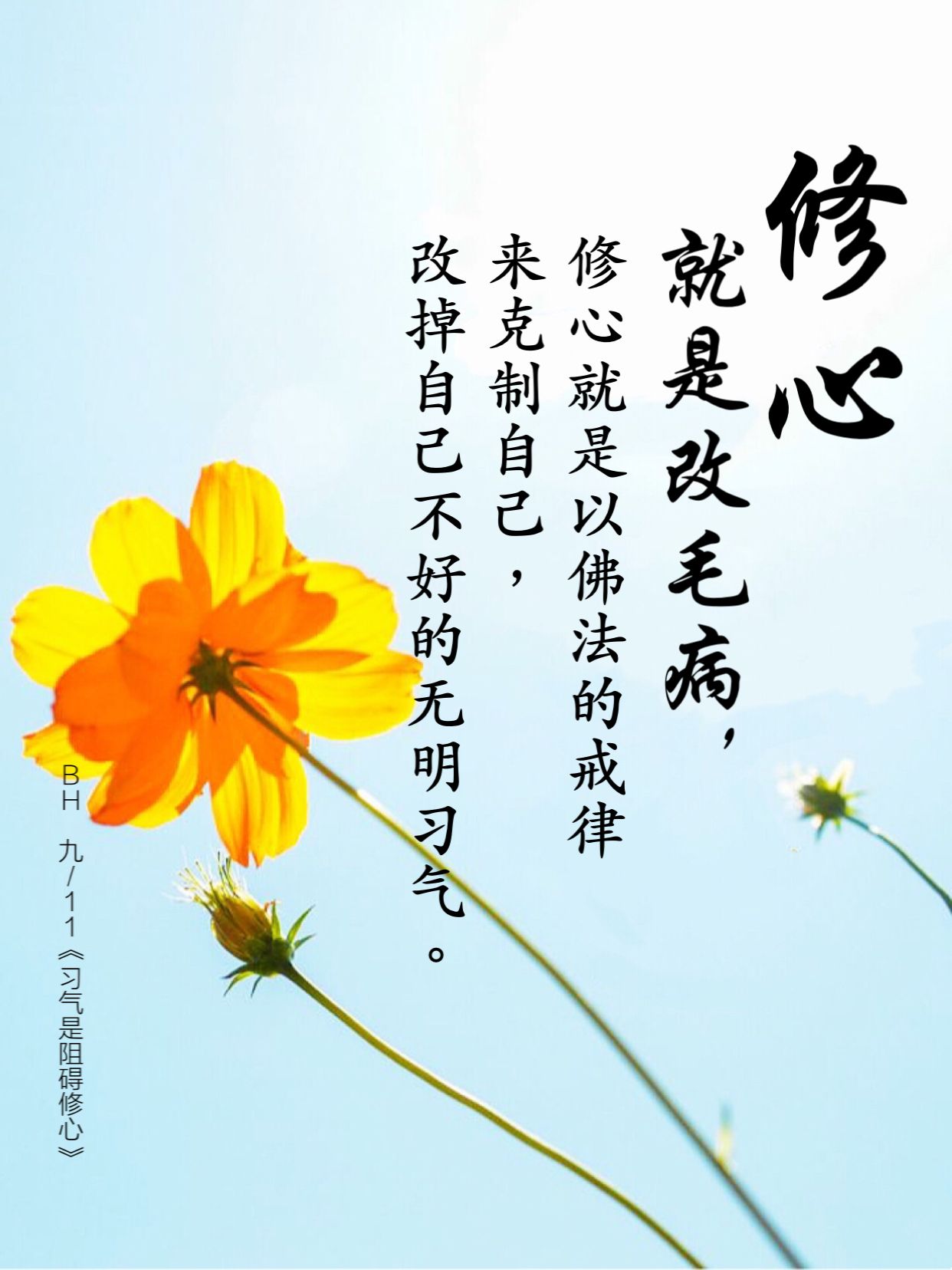 pin by 卢台长观世音菩萨心灵法门on 佛言智语 chinese quotes meaningful quotes meaningful