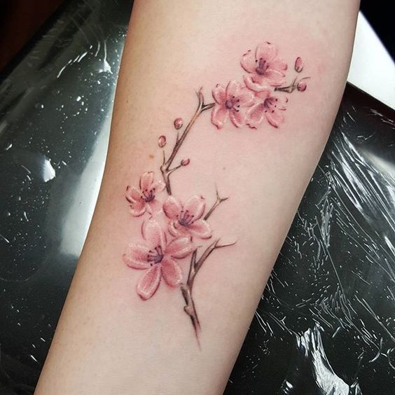 Been terrible at posting lately, realized I never posted these sweet little cherry blossoms I did on the lovely Allison. Thanks for looking! #tattoo #cherryblossomtattoo #floraltattoo Pretty Tattoos, Beautiful Tattoos, Cute Tattoos, New Tattoos, Body Art Tattoos, Small Tattoos, Sleeve Tattoos, Cross Tattoos, Tattoo Designs