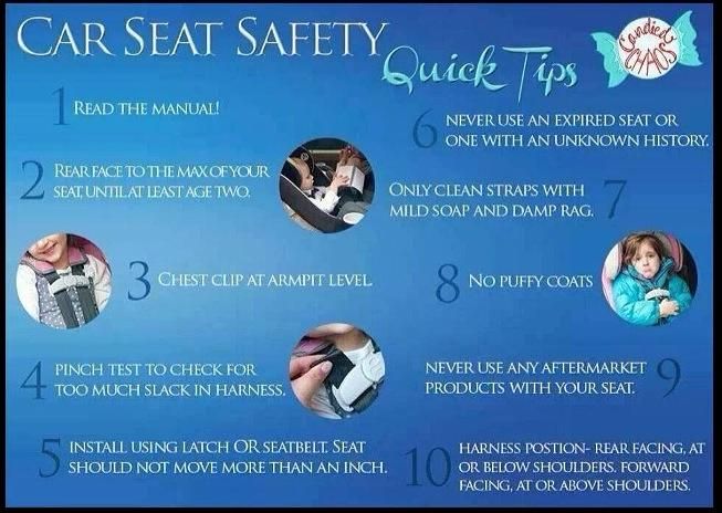 Cat Safety Basic Facts I M A Car Seat Stiffler Can T Stand Cat Safety Basic Facts I M A Car Seat Stiffler Can T Stand Ppl Posting Pics With Their Kids Stred In And The Straps Are Super Loose Chest