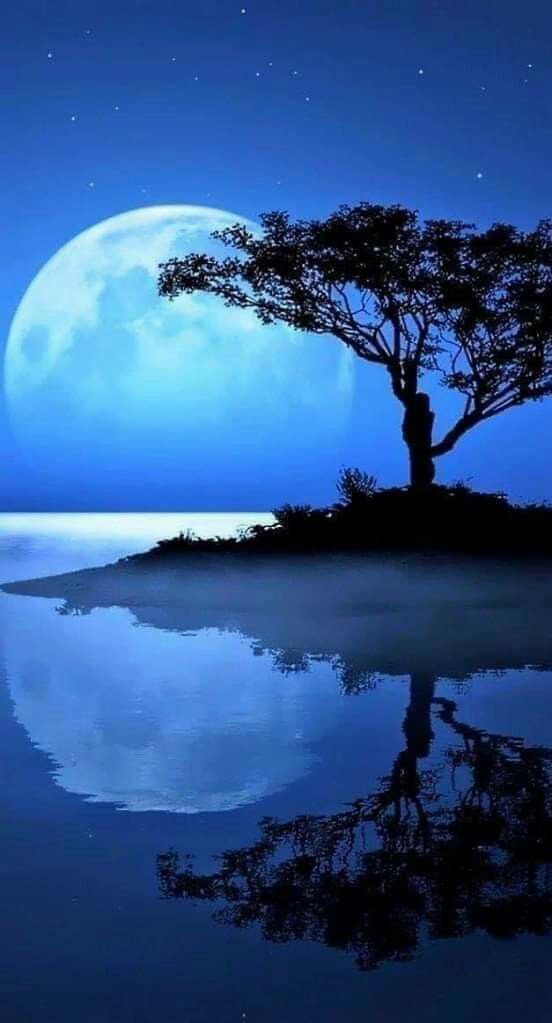 moonlight reflection on water moonlight reflection on water