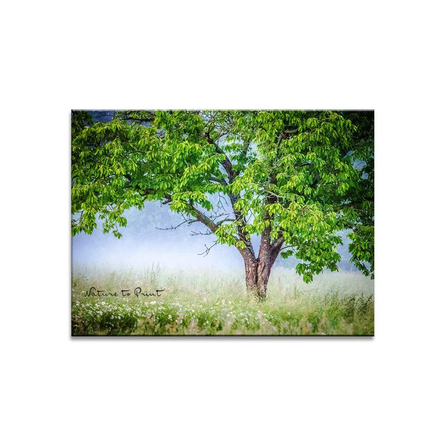 Leinwand Bild Wandbild Canvas 120x60 Malerei Fantasie Wald Bäume Blätter Natur Leinwand Bild Wandbild Canvas 120x60 Malerei Fantasie Wald Bäume Blätter Natur