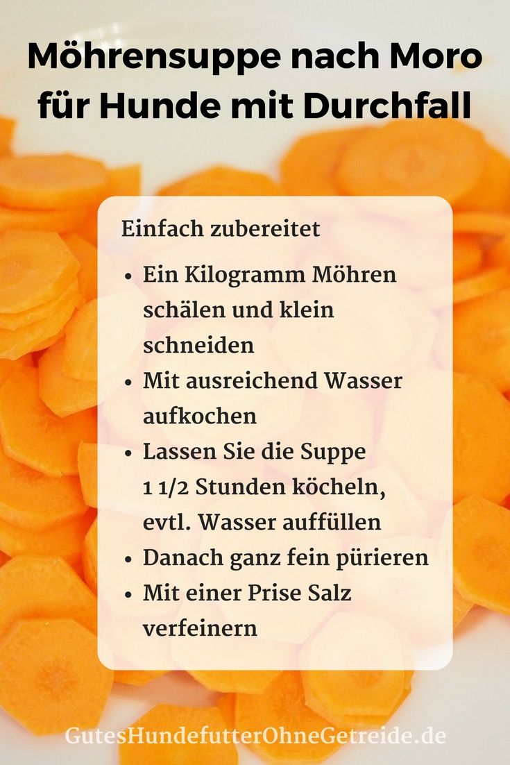 Möhren für Hunde Dürfen Hunde Karotten essen? gesundes Gemüse Hunde