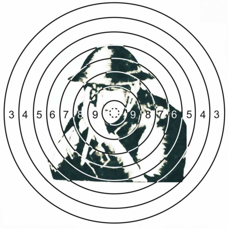 Printable shooting targets and gun targets Artofit